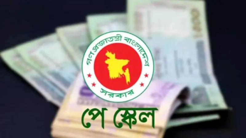 Pay Scale-693984f9e6c44