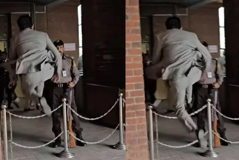 1771308872-6a0d2221366de73eec2b650d2f8edcbf