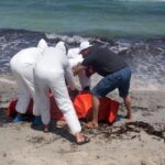 Bodies-of-17-migrants,-including-Bangladeshi,-recovered-off-Libyan-coast-69e453168f675