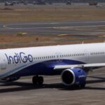 indigo-