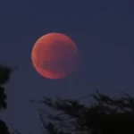 blood moon1-768x402