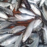 jatka-1793451832